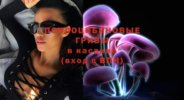 прущая мука Михайлов