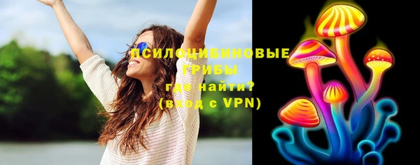 дживик Михайловск