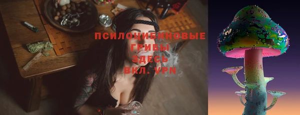 МДПВ Михайловка