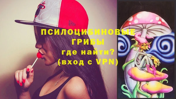 МДПВ Михайловка
