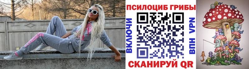 ОМГ ОМГ ссылки  Менделеевск  Галлюциногенные грибы мухоморы 