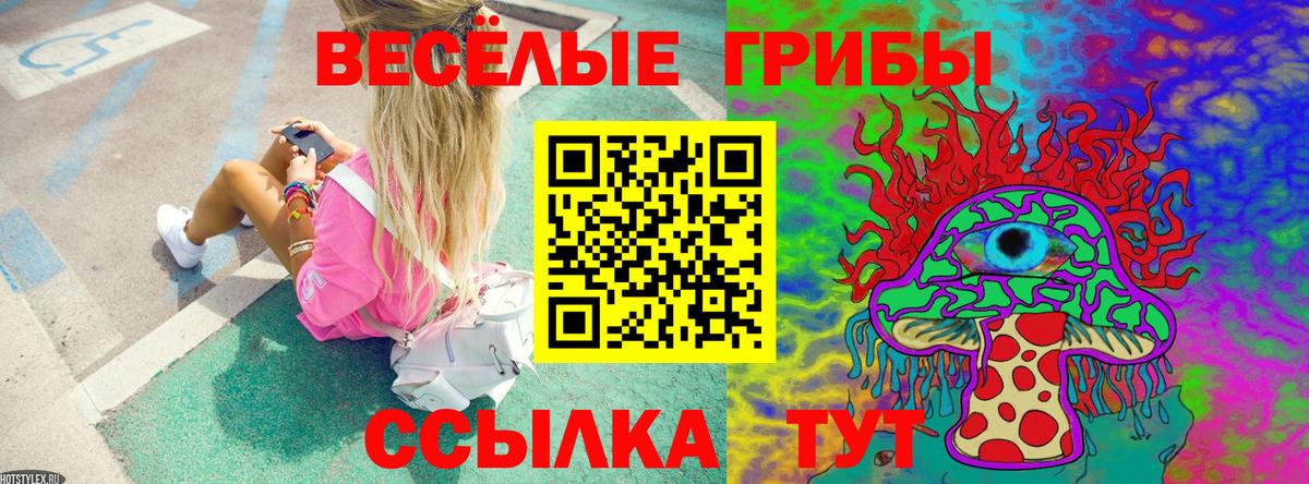 Галлюциногенные грибы GOLDEN TEACHER  Вход с VPN  Менделеевск 