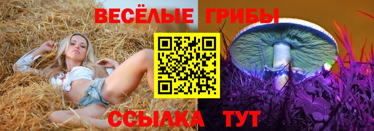 Галлюциногенные грибы мухоморы Менделеевск